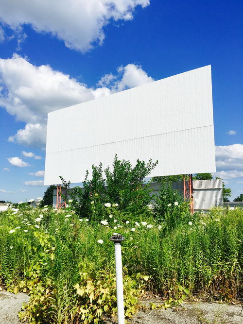 Miracle Twin Drive-In Theatre - 2017-2020 Photos (newer photo)